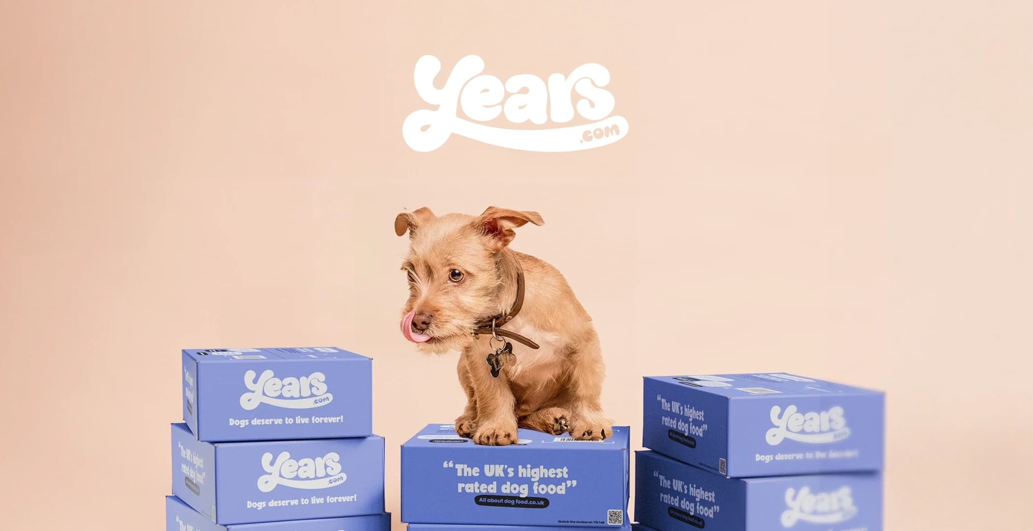Years.com client project cover